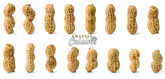 VIP Pensacola Magazine Pensacola Magazine