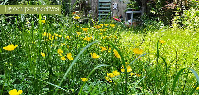 Green Perspectives – Attention: Some Maintenance Required!